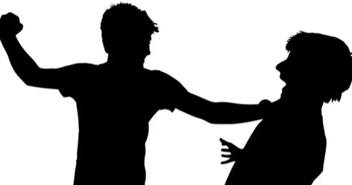  11 жастағы бала 5 жасар інісін өлтірді деген айыппен тергеліп жатыр 