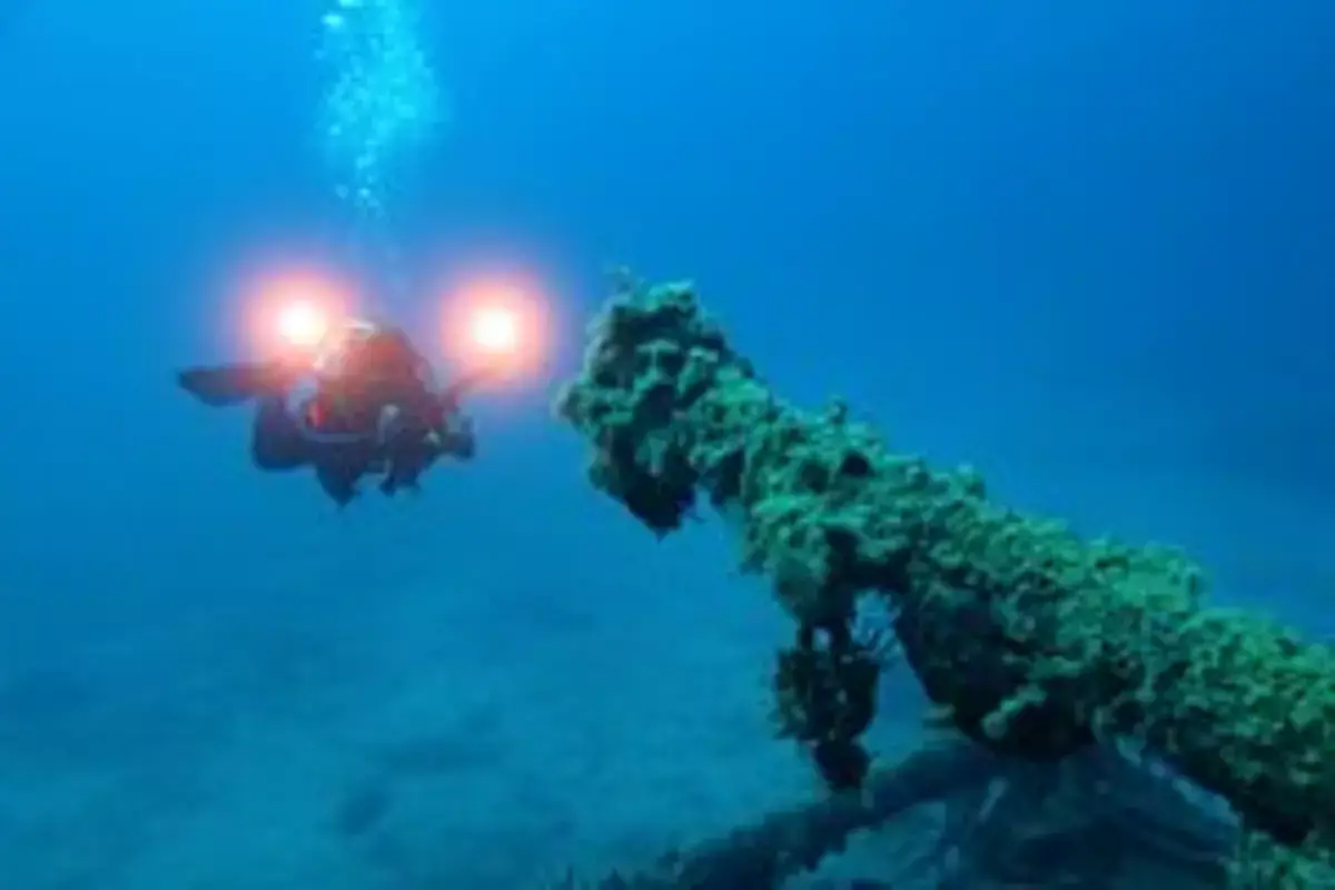 Найдено 2600-летнее кладбище кораблей - новости на Lada.kz 08.04.2026