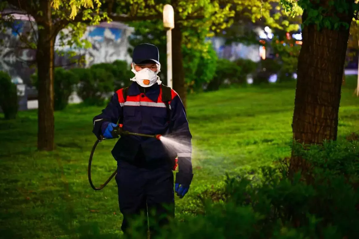 30-дан астам зиянкес түрі тіркелген: Алматыда  жасыл қорды санитарлық қорғау шараларының алғашқы кезеңі  басталды