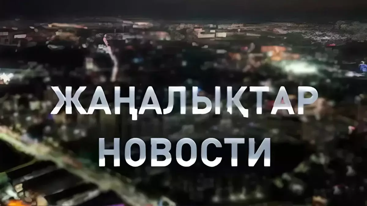 Енді иті адам қапса, иесі айыппұл арқалайды: қорытынды жаңалықтарда (08.04.2026)