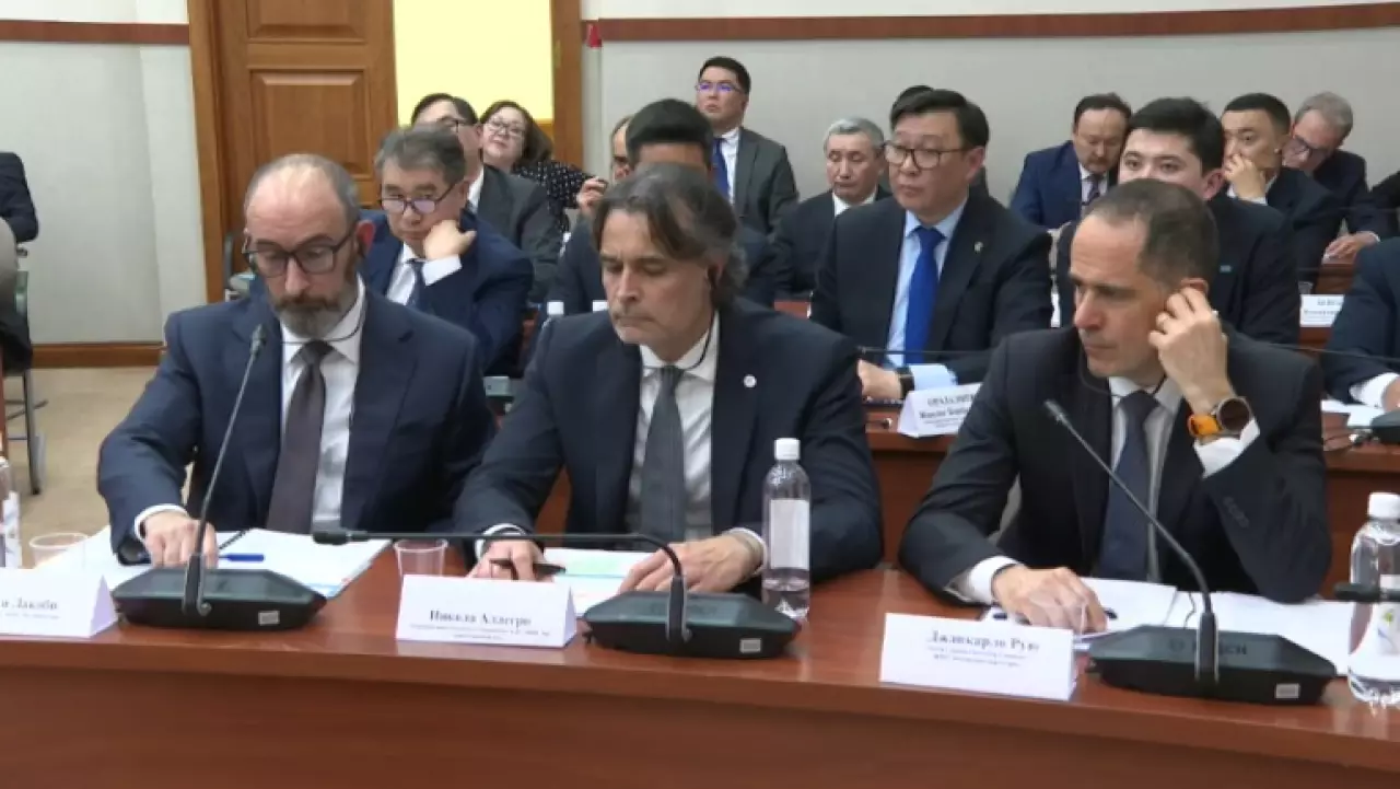 Ситуацию с крупными недропользователями обсудили в Мажилисе