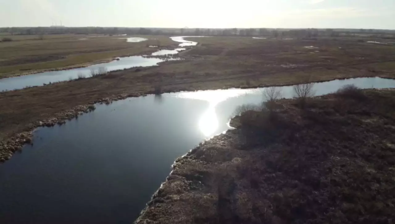 Павлодар облысында су құзғындарының саны реттеледі