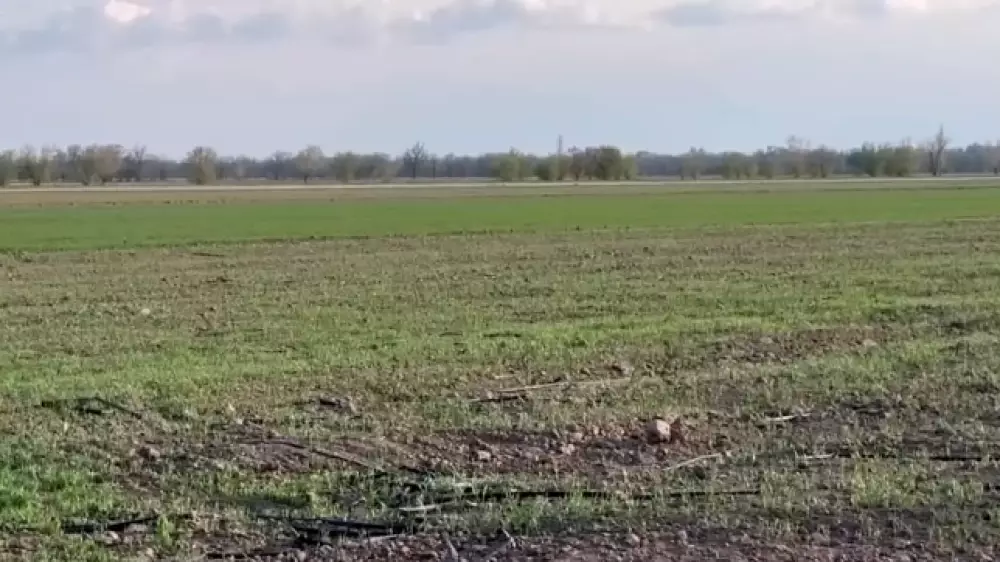 Фермеры в Жамбылской области остались без поливной воды