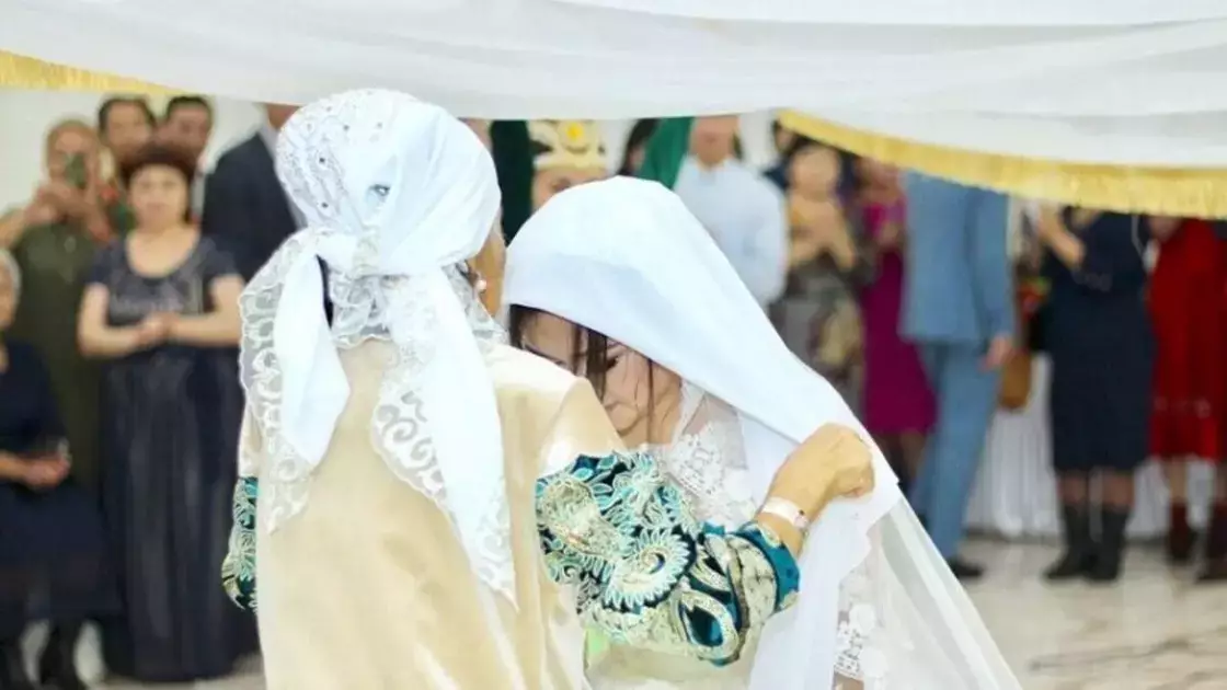 Жамбыл облысында енесінің атына оның келісімінсіз несие рәсімдеген келін сотталды