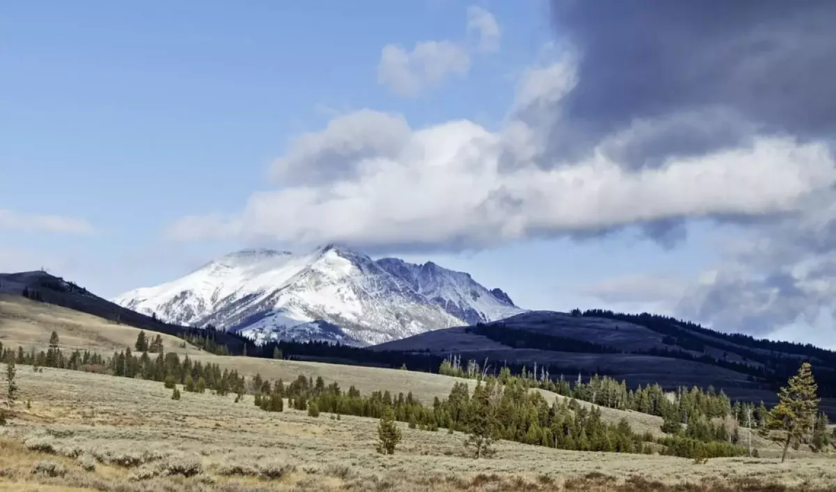 Земли у «Медеу» на 17 млрд вернули государству