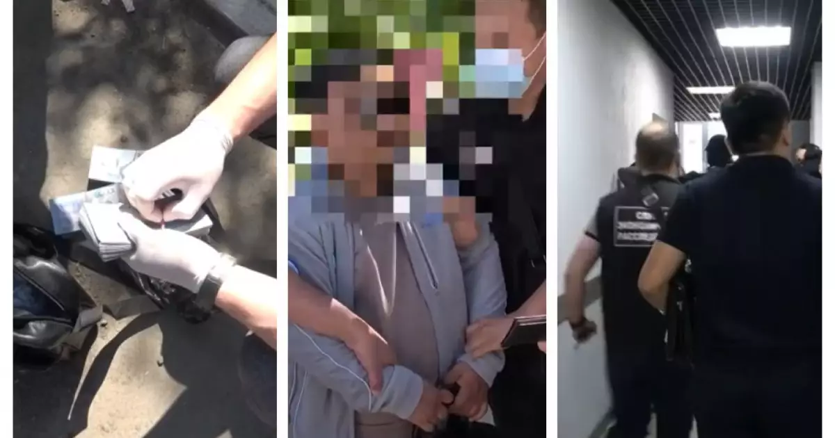  Қостанайда 3 млрд теңге субсидияны жымқырғандар сотталды 