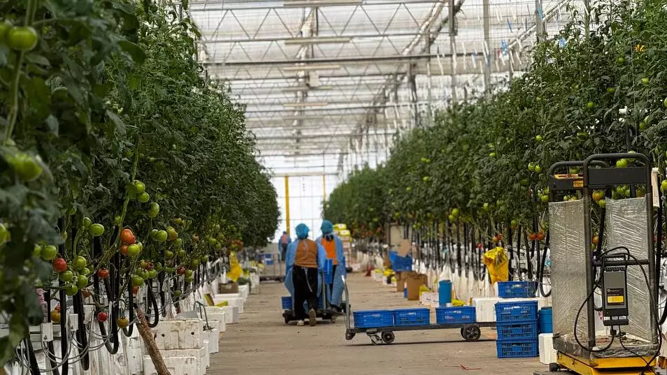 В Ұлытау завершают крупный агропроект