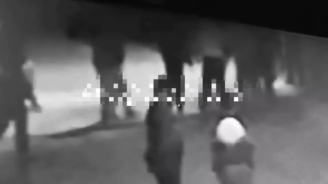 Алматы облысында бір топ жігіт ер адамды соққыға жығып кеткен