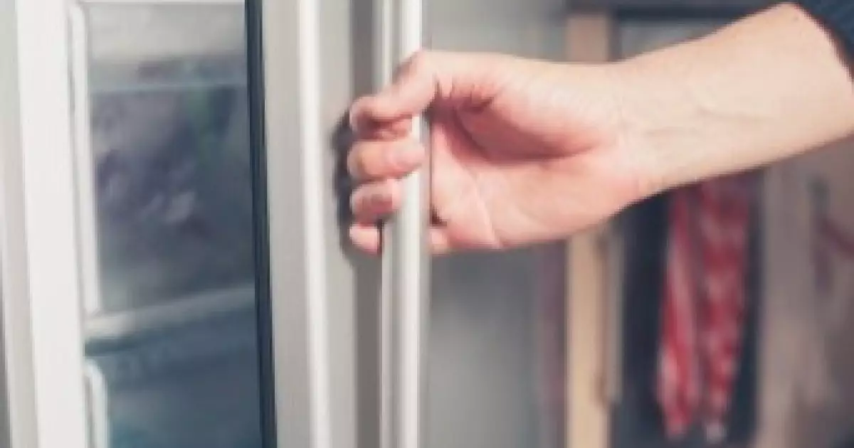  Жоғалып кеткен әйел адамның денесі өз үйінің мұздатқышынан табылды 