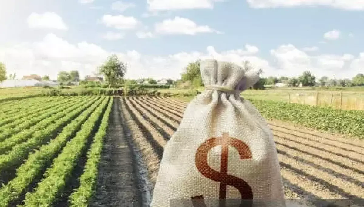 Агросубсидии на 3 млрд тенге похищены: в Костанае вынесли жёсткий приговор