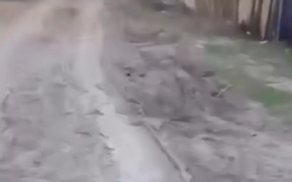 Асфальт қайда? Ақтөбеде тұрғындар батпақ кешіп жүр