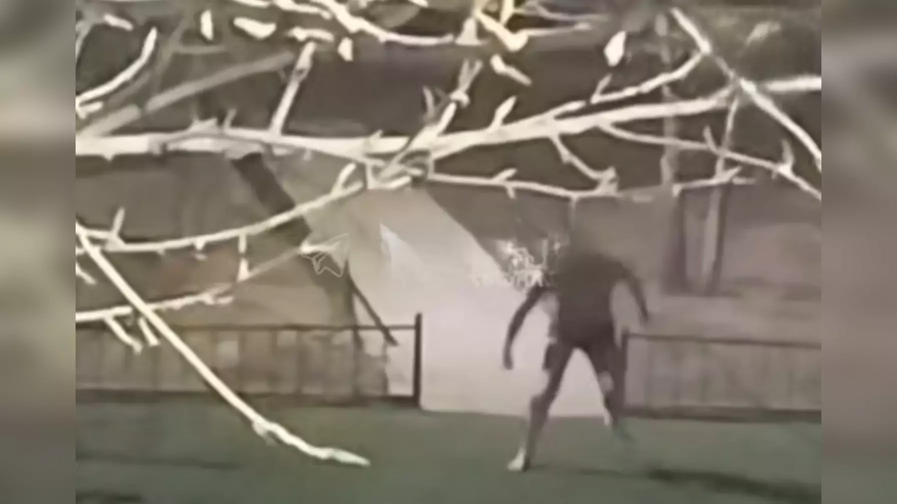 «Балалар алаңында пышақпен жүгірген»: Астанада ер адамның әрекеті елді шошытты (ВИДЕО)