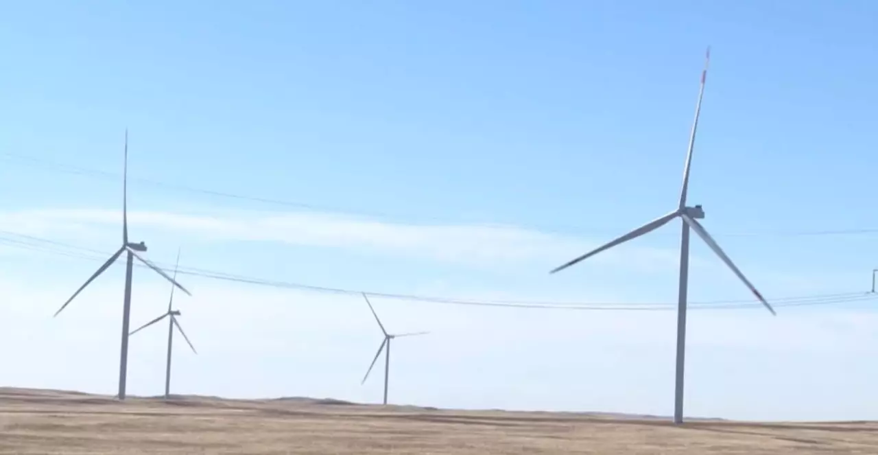 Соглашение о партнёрстве в области зеленой энергетики одобрили депутаты Сената