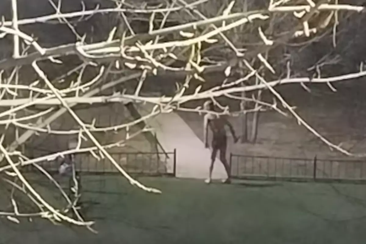 Голый мужчина с ножом бегал по детской площадке в Астане