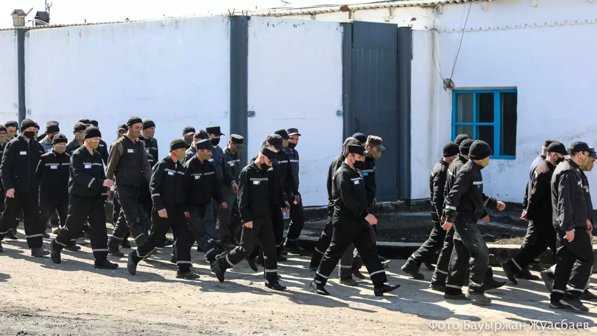 Колониялардағы өлім 5%-ға төмендеді: Өзгеріске не әсер етті?