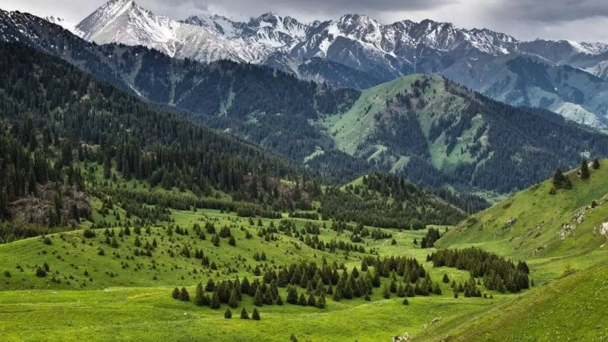 Алматы тауларында қоқыс жинағандарға тегін кофе беріледі