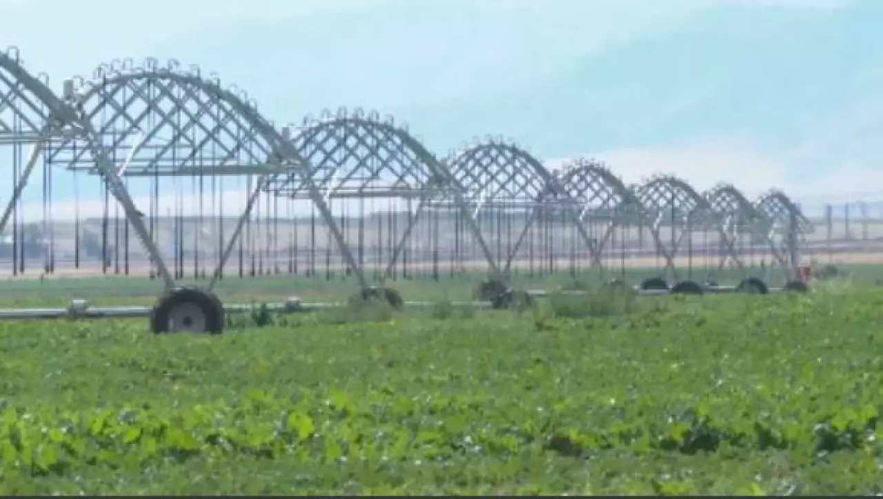 Түркістан облысында суды үнемдеуге бөлінетін субсидия 4 есе өсті