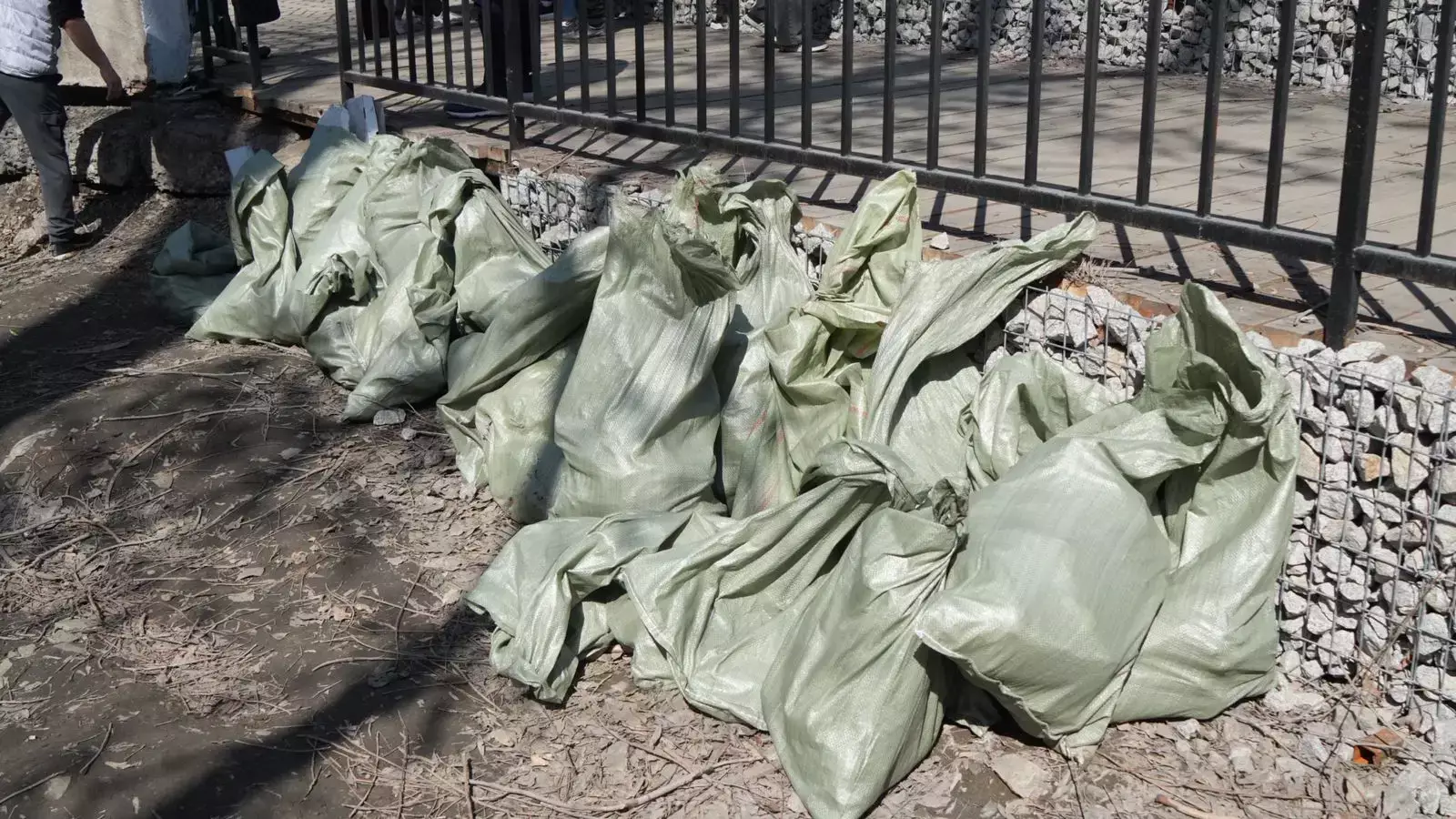 Таза Қазақстан: Семейде Бейбітшілік аралында тазалық акциясы өтті