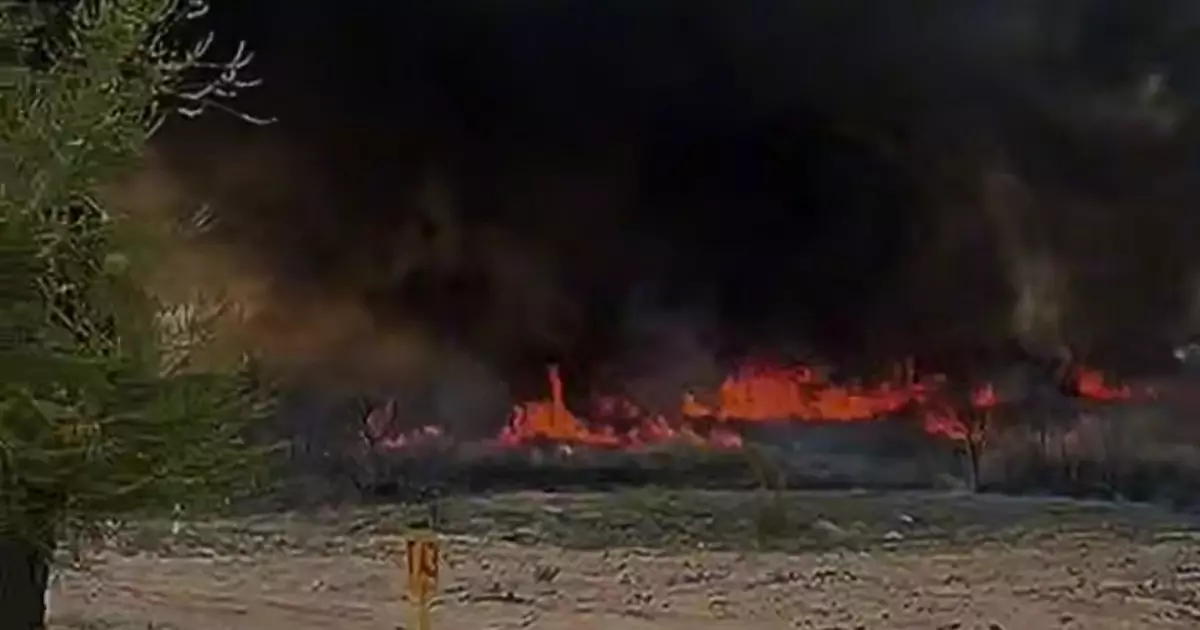  Қонаев қаласындағы бір гектар аумақта қамыс өртенді 