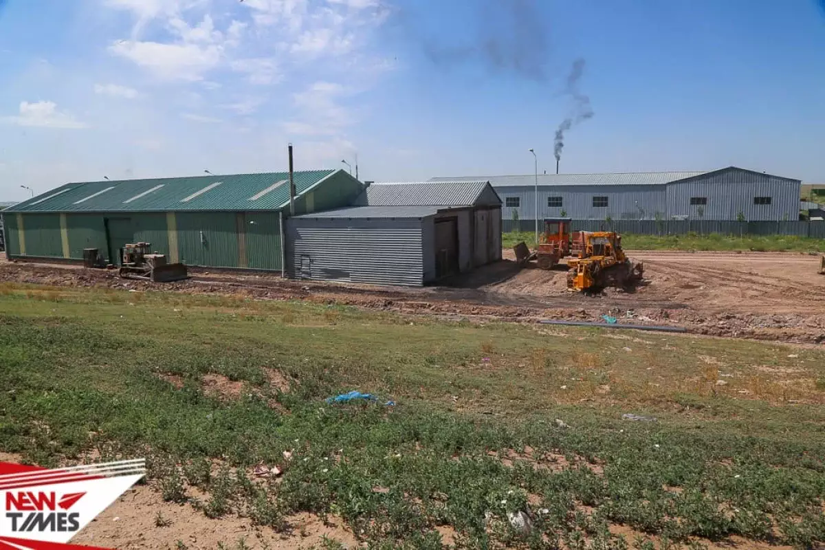 В Костанае раскрыли аферу с субсидиями и несуществующим скотом на 3 млрд