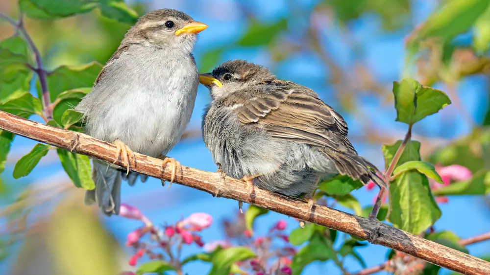 Когда потеплеет в Астане и Алматы - прогноз синоптиков