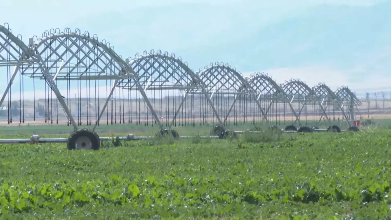 К поливному сезону готовится Туркестанская область