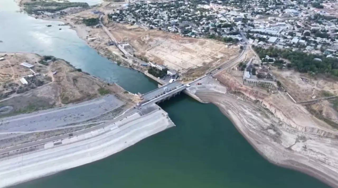 Жасанды интеллект суды үнемдейді