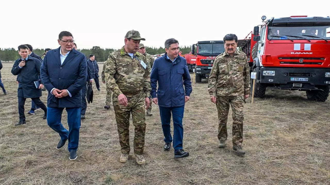 Қазақстандағы ормандарды енді жасанды интеллект «күзетеді»