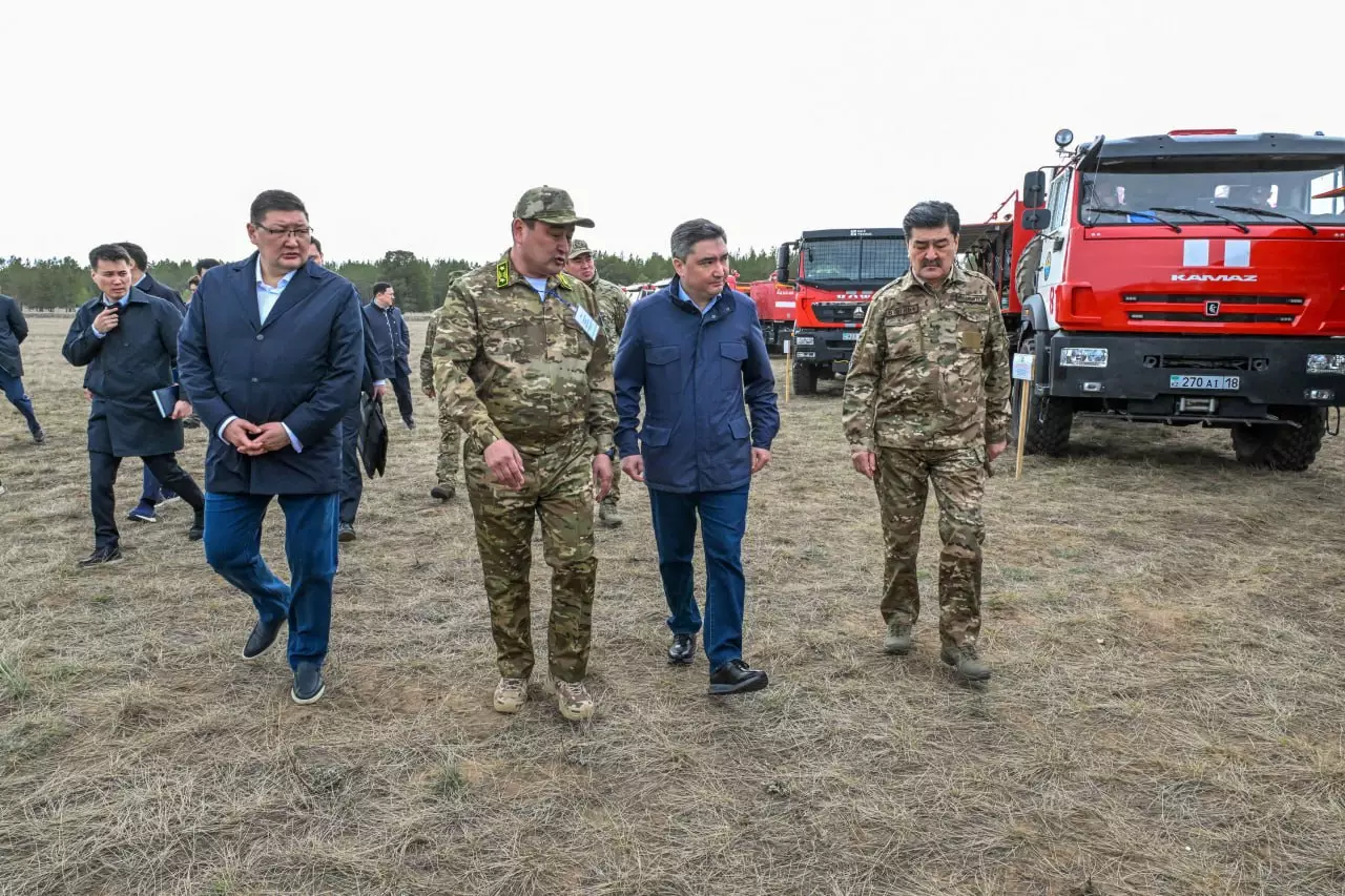 Смарт-технологиялар тілсіз жауға қарсы: Орман шаруашылығы қалай цифрландырылуда?
