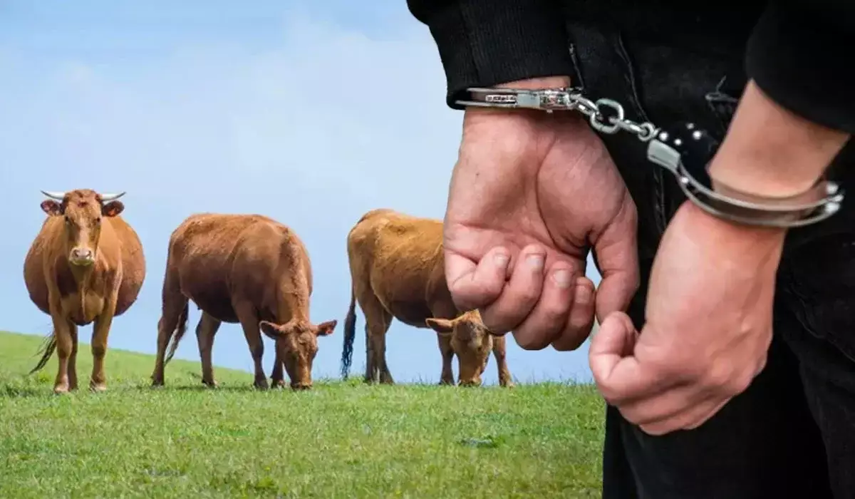 Қостанайда субсидияны жымқырған қылмыстық топқа қатысты сот үкімі шықты