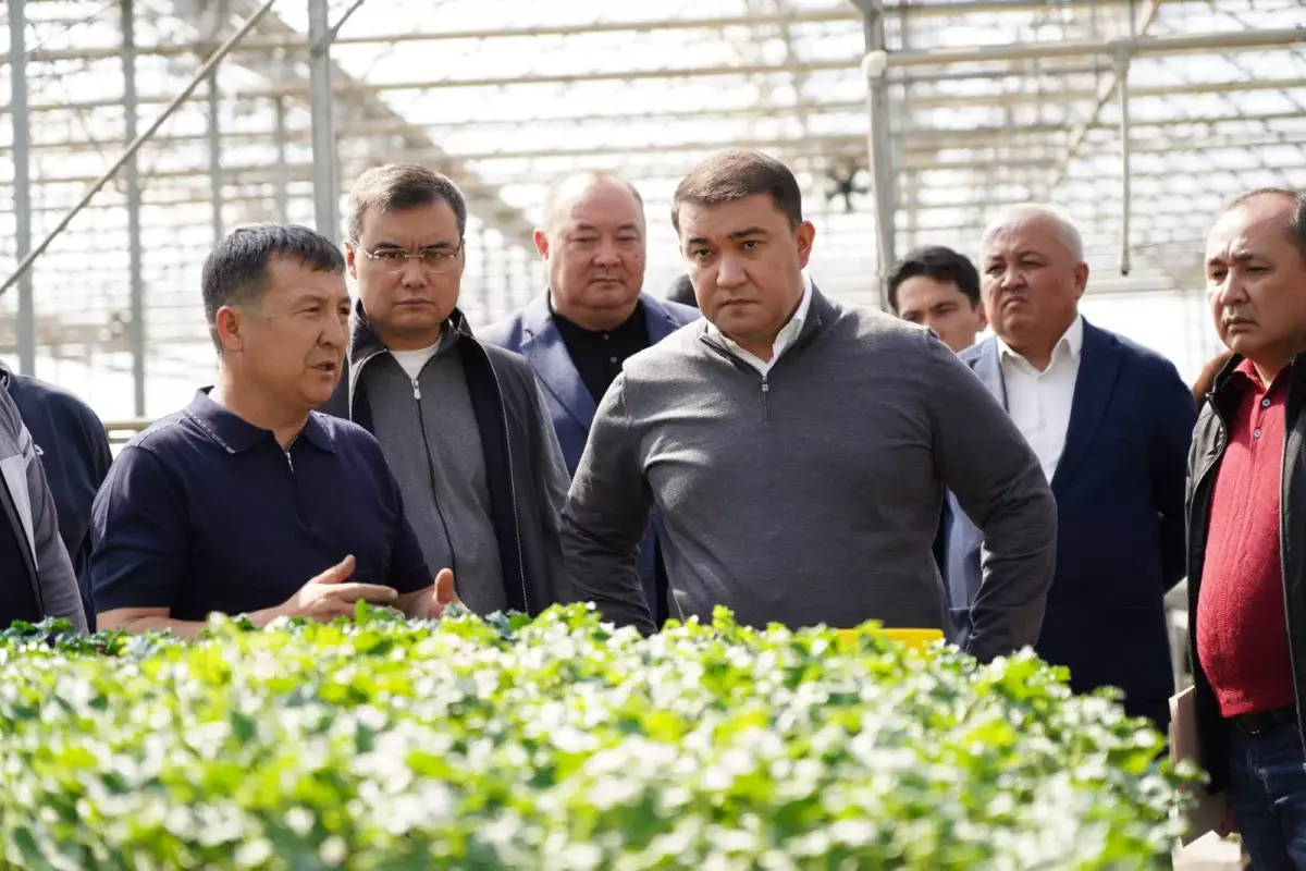 «Жылыжай – тек табыс көзі емес, үлкен жауапкершілік»:Түркістан облысының әкімі экологиялық талаптарды сақтау қажеттігін ескертті