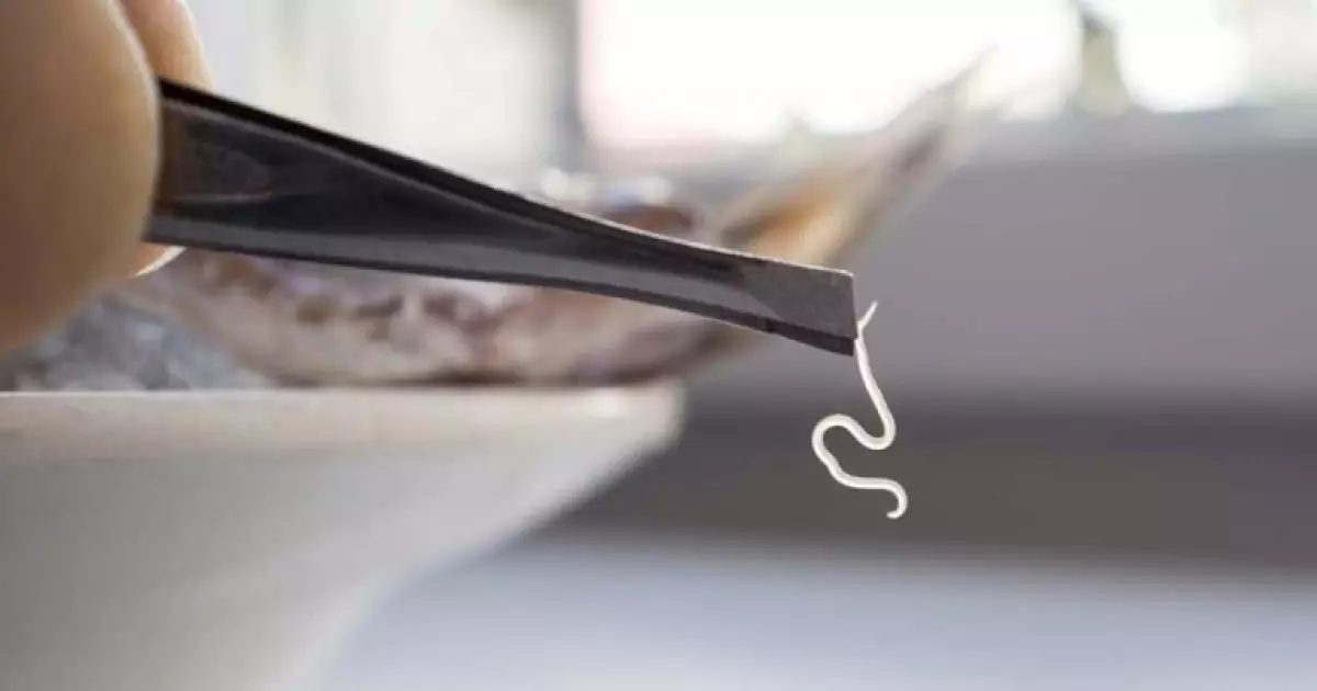  Жапонияда ішінде тірі паразит құрттары бар қалам сатылған (ВИДЕО) 