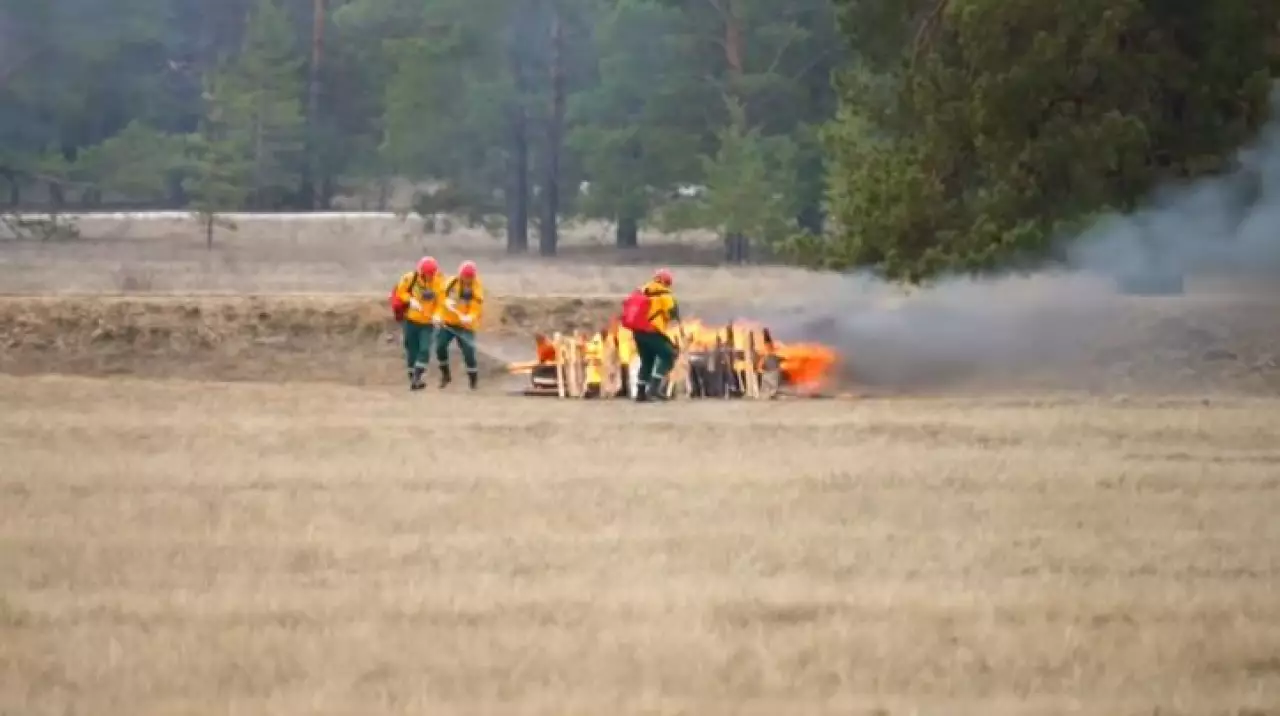Защиту лесов от пожаров усиливают в области Абай