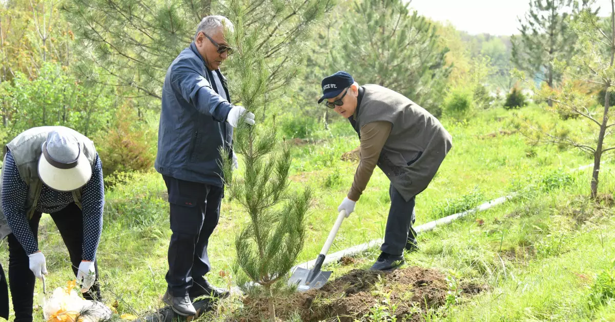   «Таза бейсенбі» экологиялық акциясы: тонналап қоқыс жиналып, жүздеген ағаш отырғызылды   