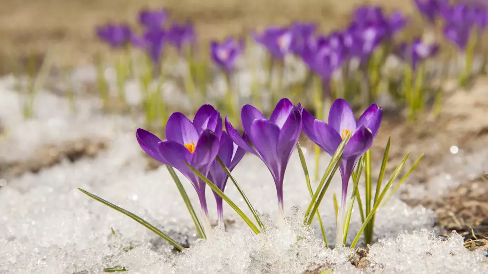 Қазақстанда 109 жыл бұрынғы температура рекорды жаңарды