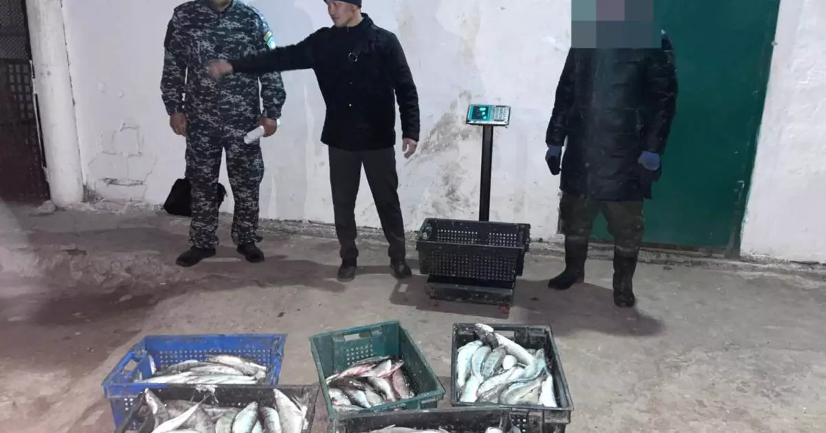  Балқаш көлінде браконьерден 79 келі балық тәркіленді 