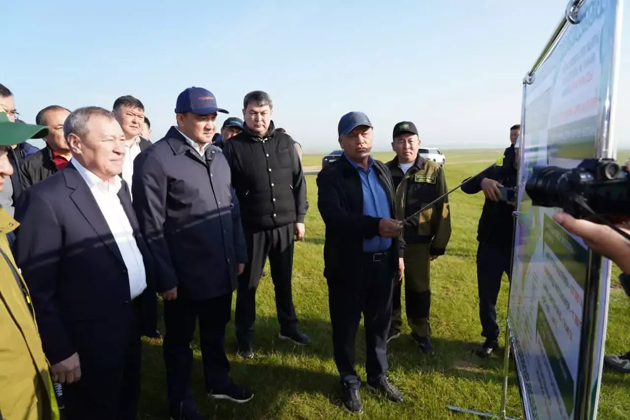 Түркістан облысында шегірткеге қарсы күрес күшейді