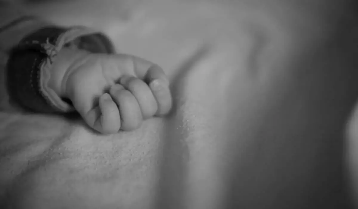 "2–4 млн жұмыртқа жасушасы": Қазақстандық клиникаларда генетикалық материалдар ұрланады