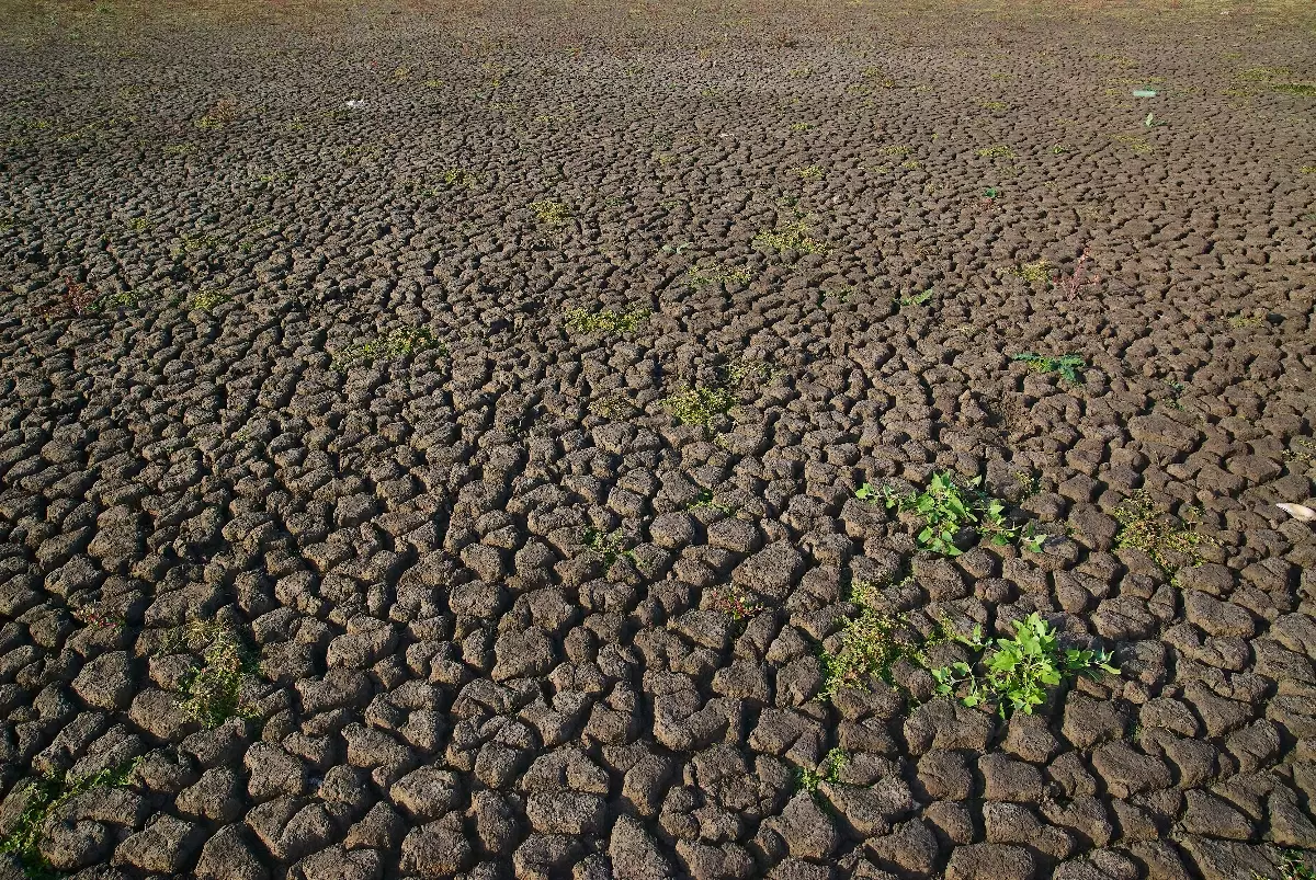 Оңтүстік өңірлерде су тапшылығы: Су ресурстары министрлігі қандай шара қабылданатынын айтты