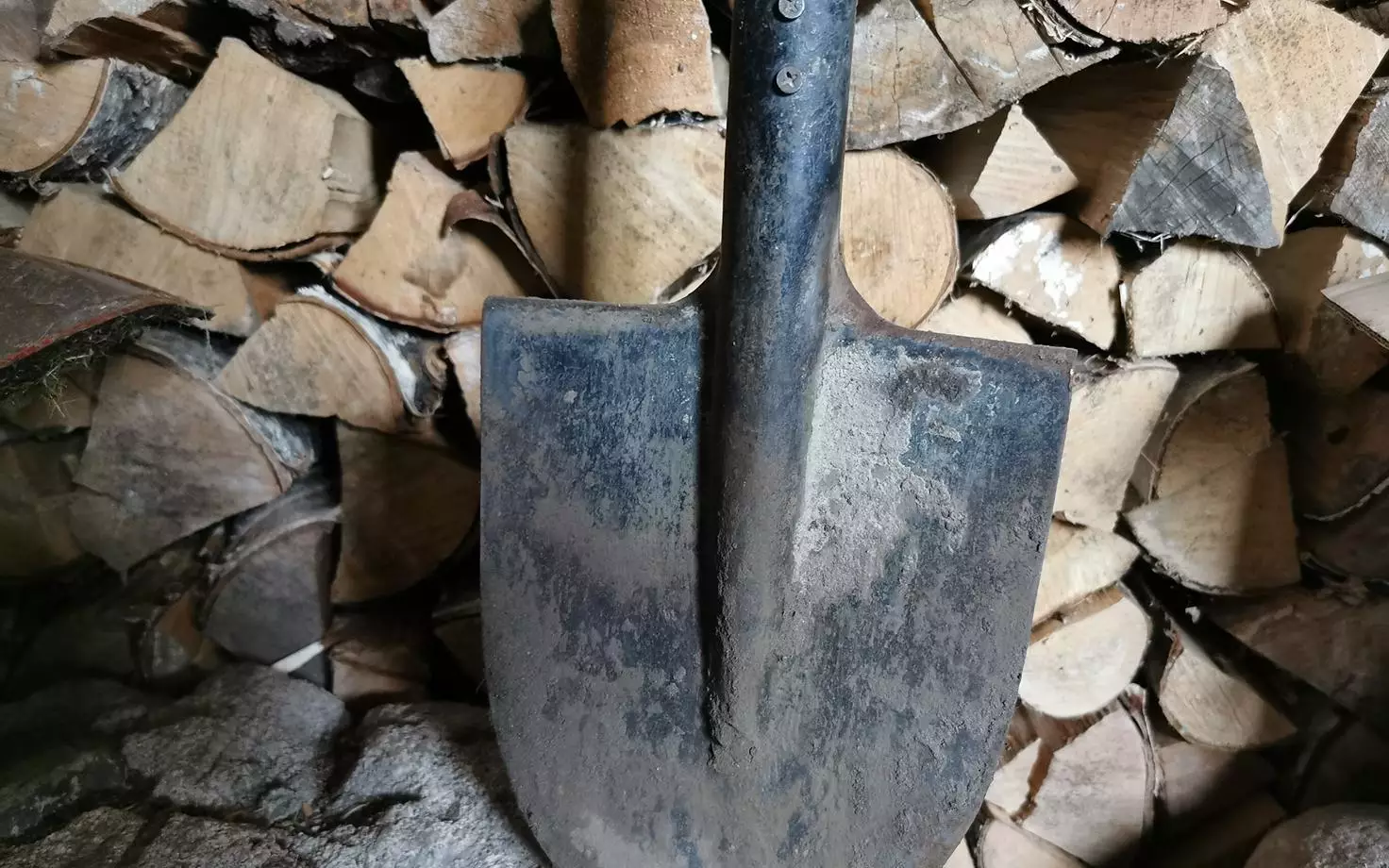 Около 40 ударов лопатой: в Жетысу расследуют нападение на женщину