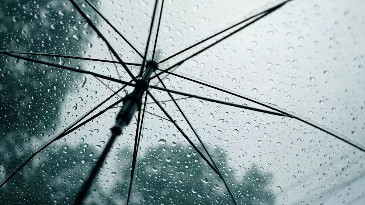 Қар, бұршақ: елімізде күн қашан жылынады