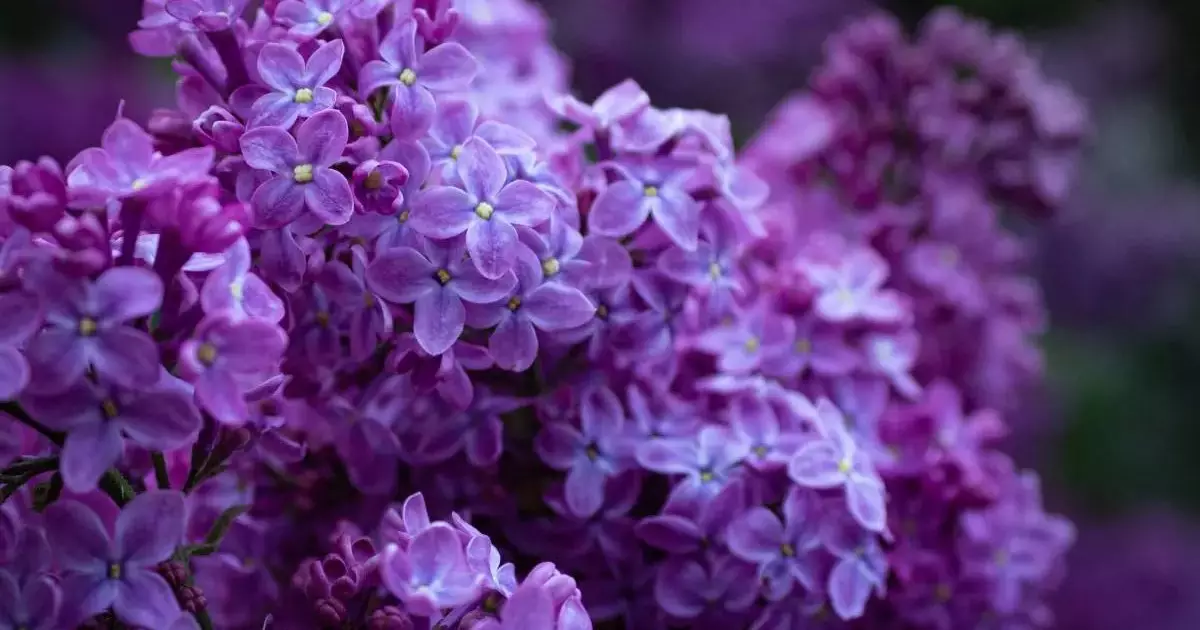  Казахстанцам грозит штраф до 216 тысяч за срыв сирени 