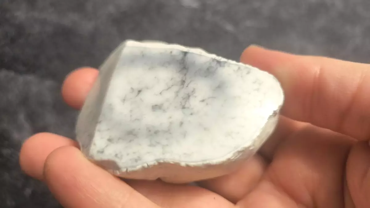 Этот опал находят под ногами в Казахстане и продают за хорошие деньги