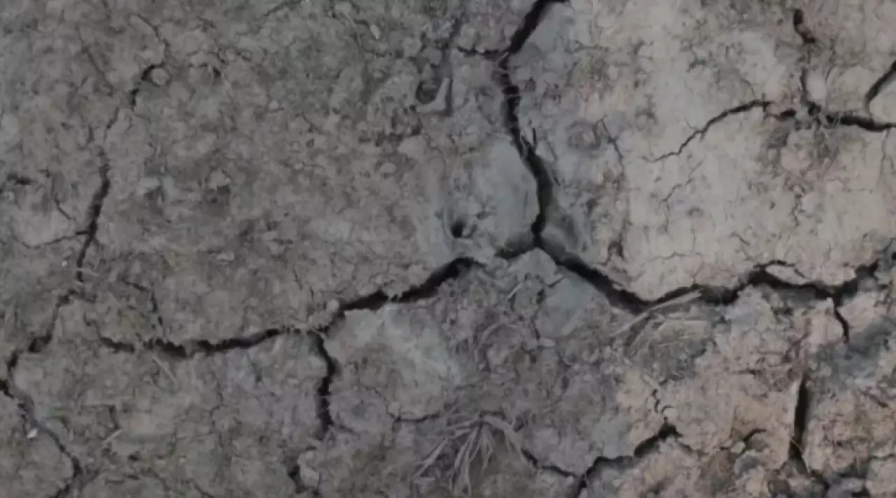 Страны ЦА столкнутся с заметным ростом температуры к 2050 году