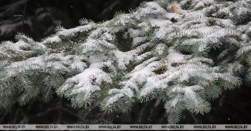 Казахстан накрывает шторм с ветром до 28 м/с и гололедом.
