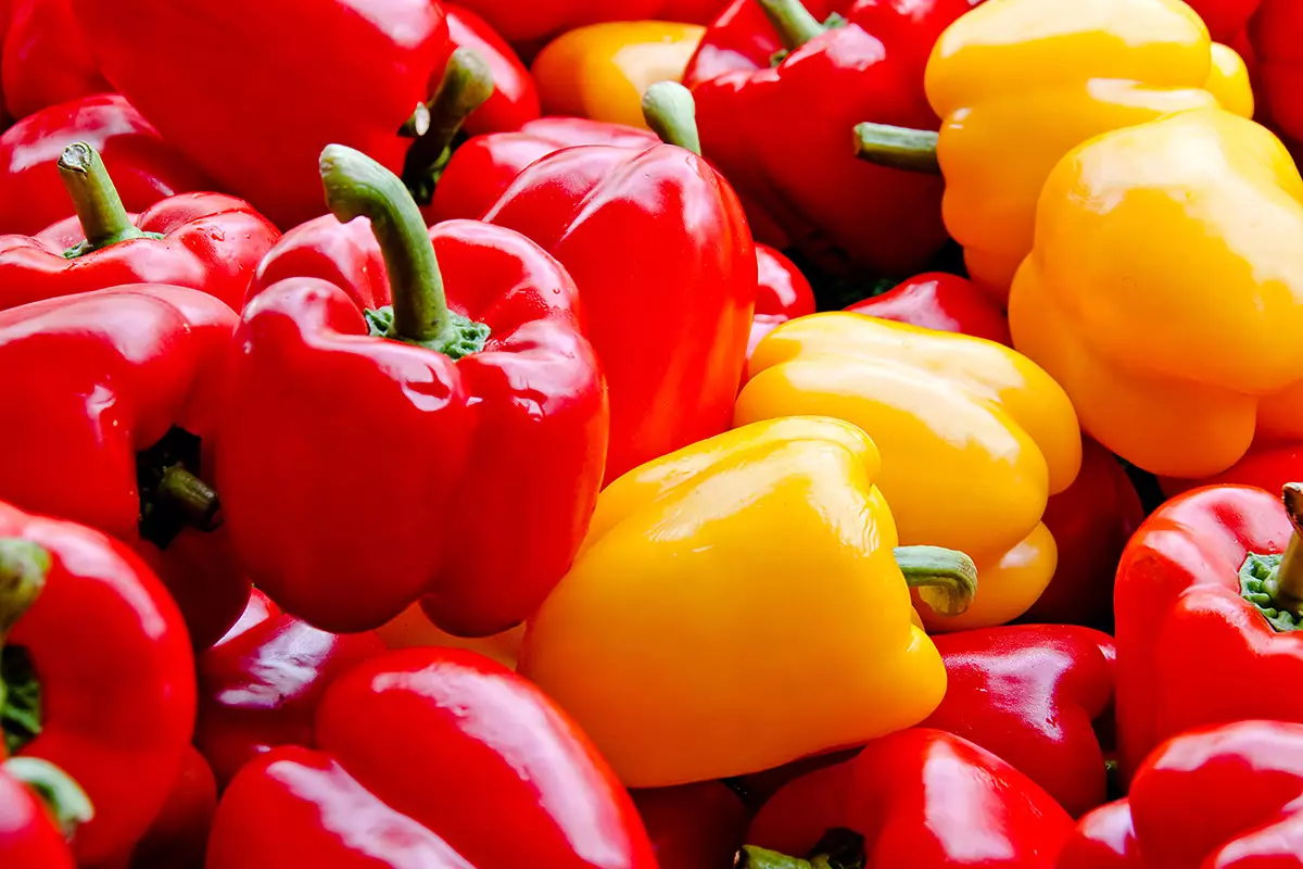 Свежие овощи из Китая доставляются в Казахстан за 12 часов.