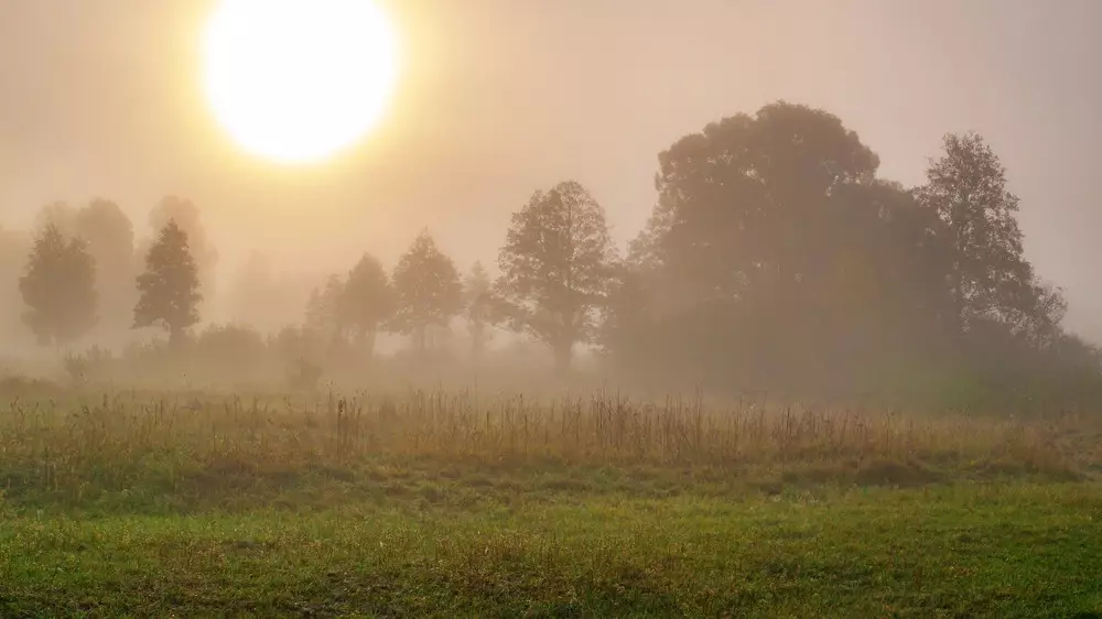 Штормовые предупреждения объявили в Астане, Алматы и областях