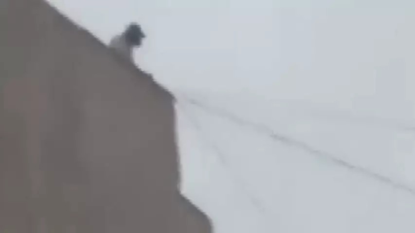 Молодая девушка сидела на краю крыши в Караганде