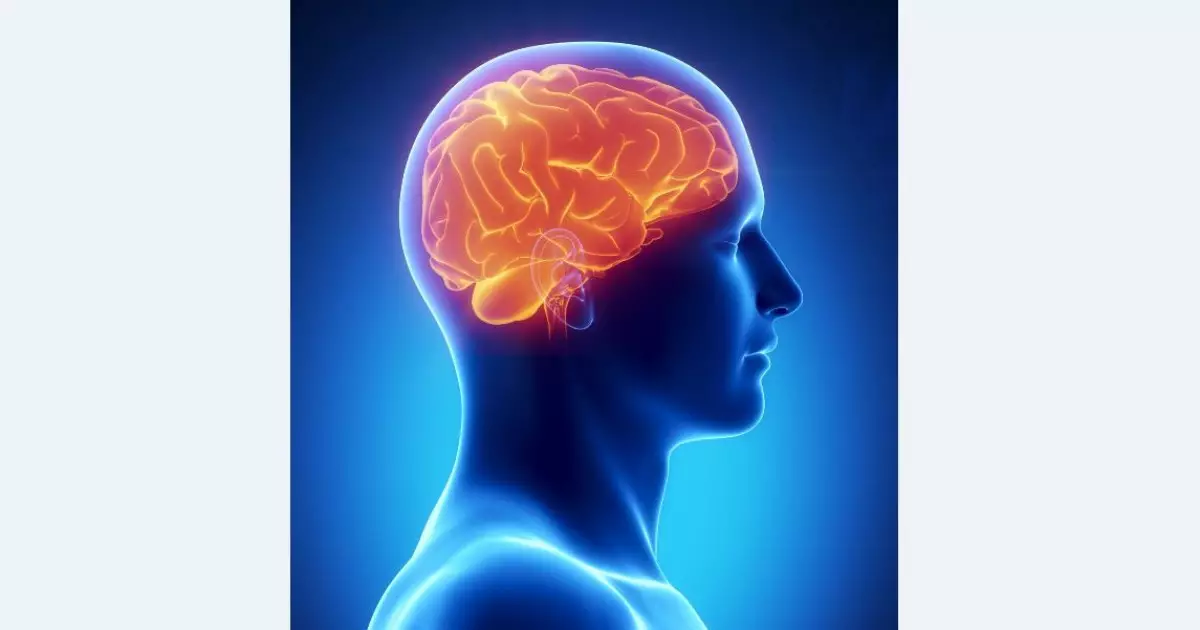   Эпилепсия: ебін тапса емделетін  дерт   