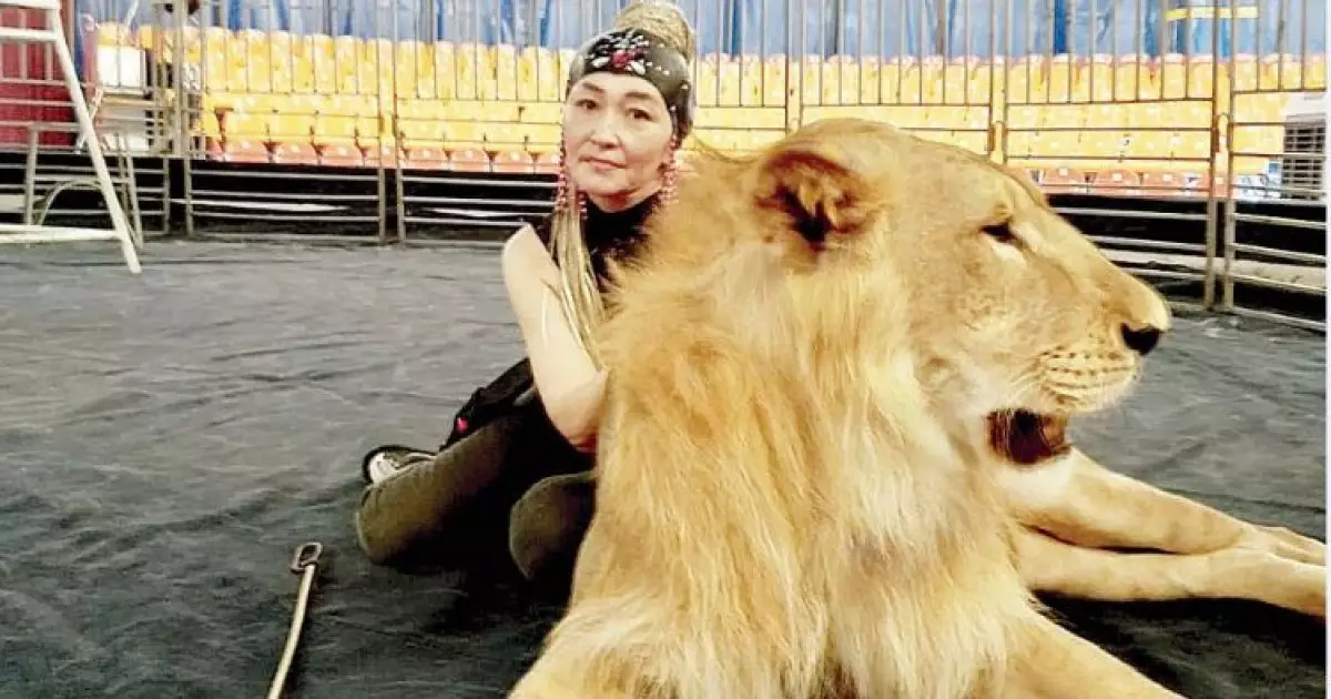   Алып арыстанды бағындырған ана   